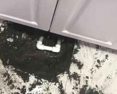 博兴查漏水哪家好